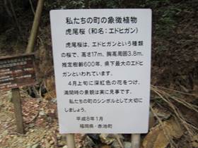 : C:\Users\ktsik\Desktop\qRJRՁERiՂ̔jQOPPNSR\IMG_2166.JPG