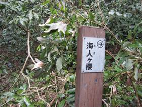 : C:\Users\kita-p\Desktop\qRJRՁERiՂ̔jQOPPNSR\IMG_2174.JPG